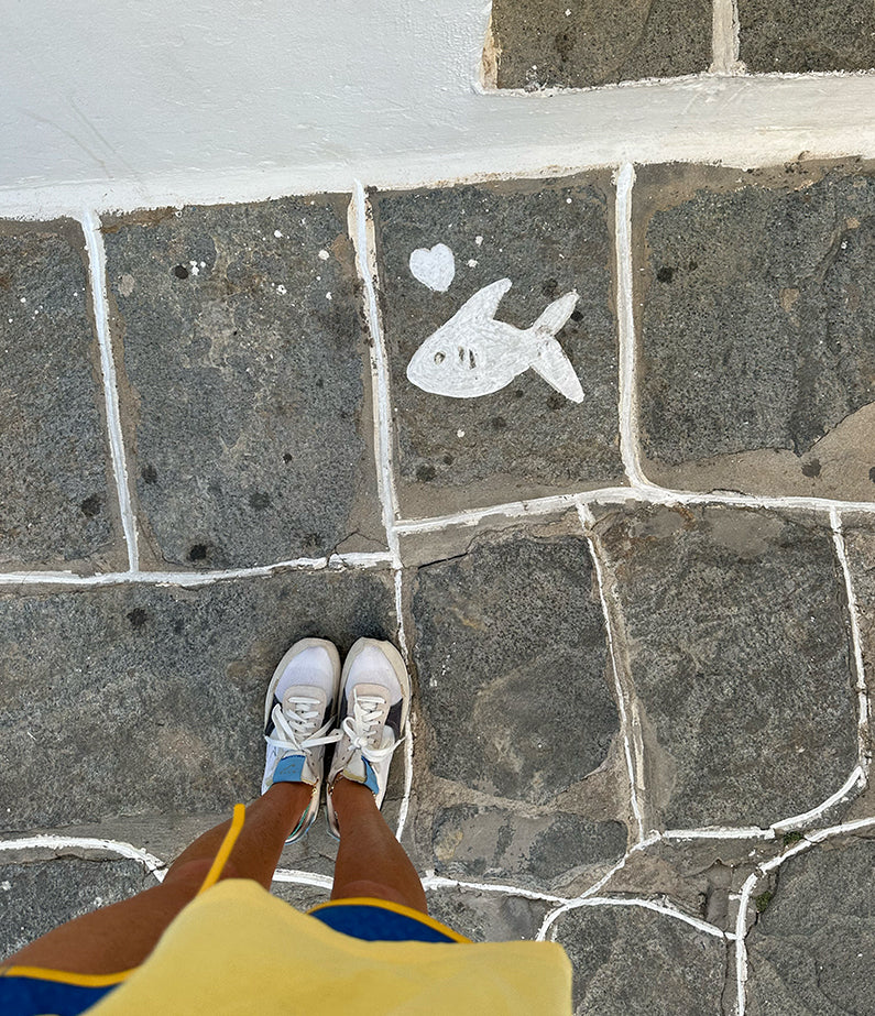 branklet no.13 – streets of apollonia sifnos