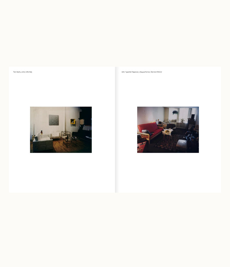 New York Living Rooms - Dominique Nabokov : apartamento publishing